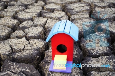 Colorful Bird House On Crack Soil Stock Photo