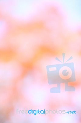 Colorful  Bokeh Blurred Lights Background Stock Photo