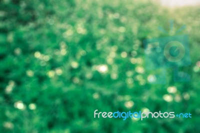 Colorful Bokeh On Green Background Stock Photo