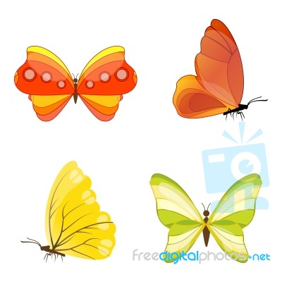 Colorful Butterflies Stock Image