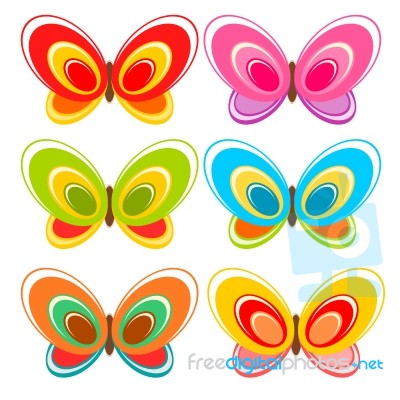 Colorful Butterfly  Stock Image