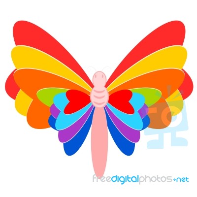 Colorful Butterfly  Stock Image