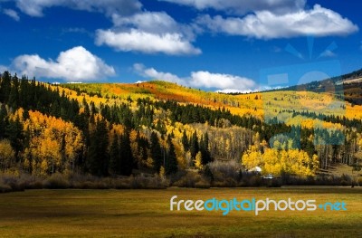 Colorful Fall Foliage Stock Photo