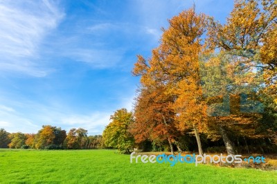 Colorful Fall Landscape With Trees Sky And Meadow Stock Photo