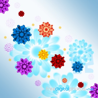 Colorful Flowers Background Shows Flowery And Growth
 Stock Image