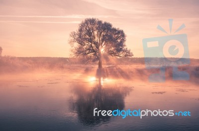 Colorful Frosty Winter Morning On The River Stock Photo