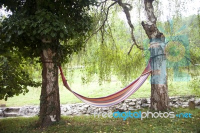 Colorful Hammock Among The Trees Stock Photo