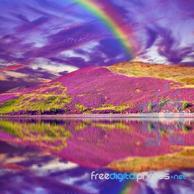 Colorful Landscape Scenery Of Rainbow Over Hill Slope Covered By… Stock Photo