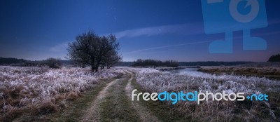 Colorful Night Landscape Stock Photo