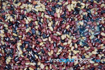 Colorful Of Beans Stock Photo