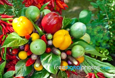 Colorful Of Chili With Vegetables Stock Photo