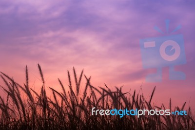 Colorful Of Evening Sky Stock Photo