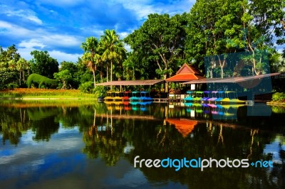 Colorful Pedal Boat In Lake Stock Photo