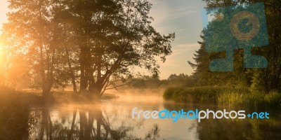 Colorful Summer Morning Stock Photo