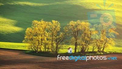 Colorful Summer Sunrise Stock Photo