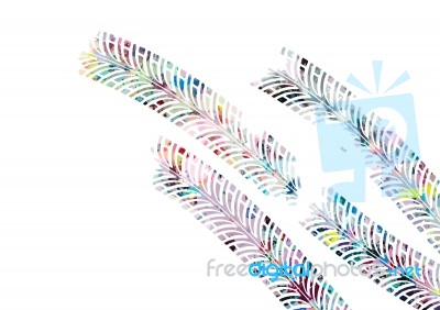 Colorful Tire Track On White Background Stock Image