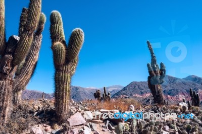 Colorful Valley Of Quebrada De Humahuaca, Central Andes Altiplan… Stock Photo