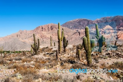 Colorful Valley Of Quebrada De Humahuaca, Central Andes Altiplan… Stock Photo