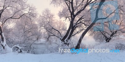 Colorful Winter Landscape. Panorama Of Winer Sunrise Stock Photo