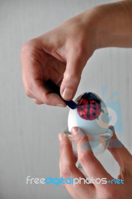 Coloring Easter Egg Stock Photo