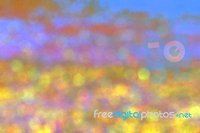 Colors Of Yellow With Background Blurred Stock Photo