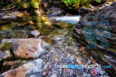 Coloured Stones In Holland Creek Stock Photo