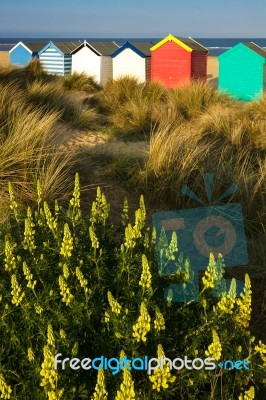 Colourful Beach Huts At Southwold Stock Photo