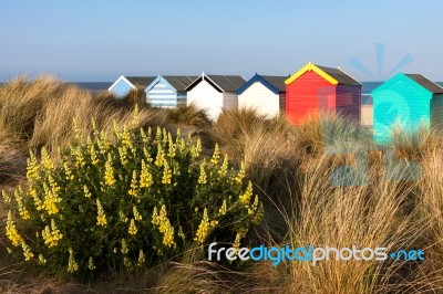 Colourful Beach Huts On Southwold Beach Stock Photo