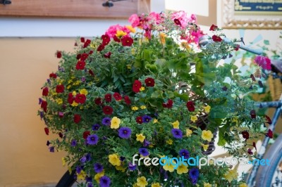 Colourful Flower Display On A Bicycle In Hallstatt Stock Photo