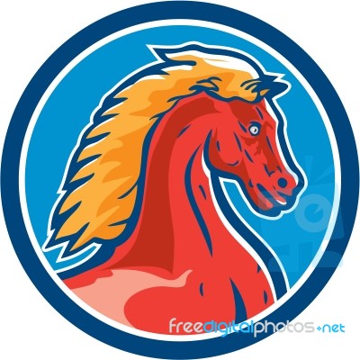 Colt Horse Head Side Circle Retro Stock Image