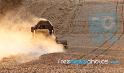 Combine Harvester Stock Photo