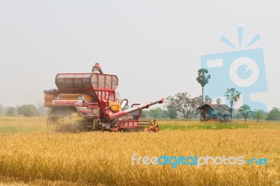 Combine Harvester Stock Photo