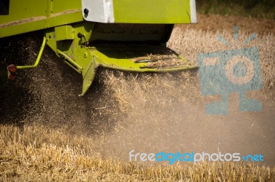 Combine Harvesting Corn Stock Photo