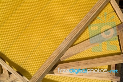  Combs Of Honey Stock Photo