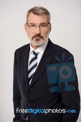 Company Ceo Posing Confidently In Style Stock Photo