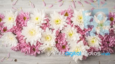 Composition Of  White And Pink Flower On The White Wooden Table Top View Stock Photo