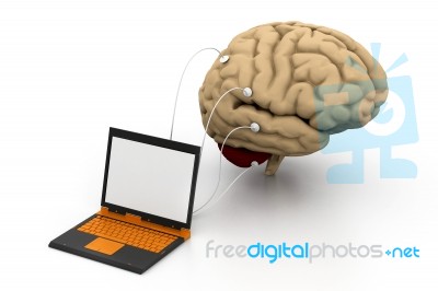 Computer Connected To A Brain Stock Image