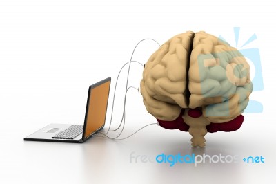 Computer Connected To A Brain Stock Image