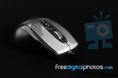 Computer Mouse Stock Photo