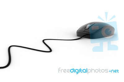 Computer Mouse Stock Image