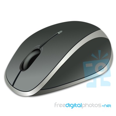 Computer Mouse Stock Image