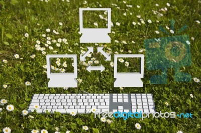 Computer Network In Garden Stock Image