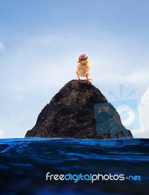 Conceptual Unreal Of Baby Chick On Lonely Island Use For Multipu… Stock Photo