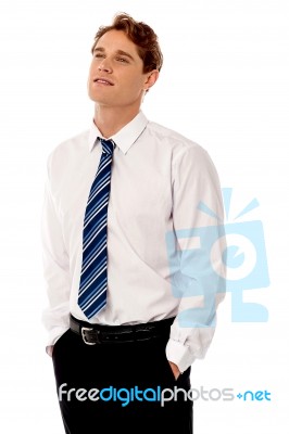 Concerned Male Manager Posing Stock Photo