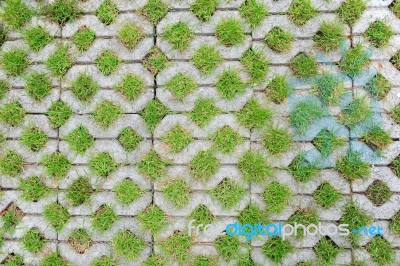 Concrete Block With Grass Stock Photo