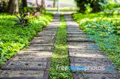 Concrete Walkway In The Park Stock Photo