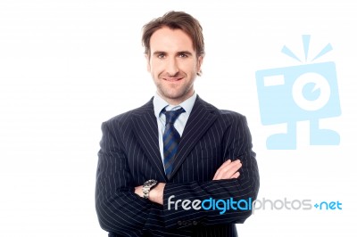 Confident Handsome Business Executive Stock Photo