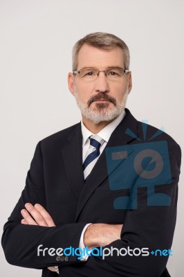 Confident Matured Businessman On White Stock Photo