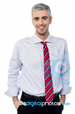 Confident Smiling Middle Age Business Man Stock Photo