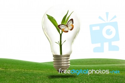 Conservation Of Natural Light Stock Photo